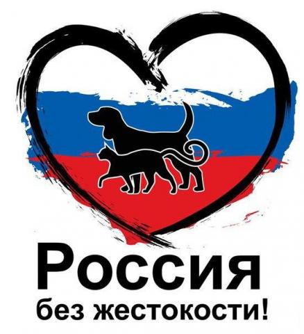 Фото с стайта: https://animalsave.ru/vserossijskij-miting-protiv-zhivoderov-2/